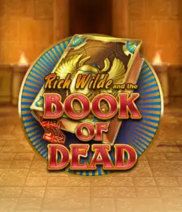 Enter the thrilling world of Book of Dead Slot by Play'n GO, featuring vivid graphics of Rich Wilde's journey through ancient Egyptian tombs and artifacts. Discover lost riches with exciting mechanics like free spins, expanding icons, and a gamble option. Ideal for adventure enthusiasts with a desire for thrilling discoveries.